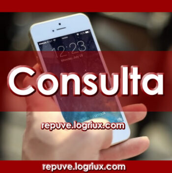 Consulta